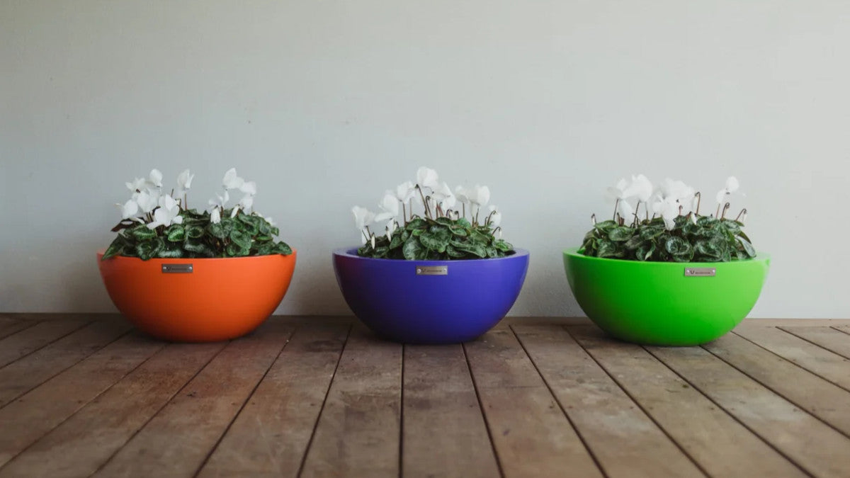 BARCELONA 500 BOWL PLANTER