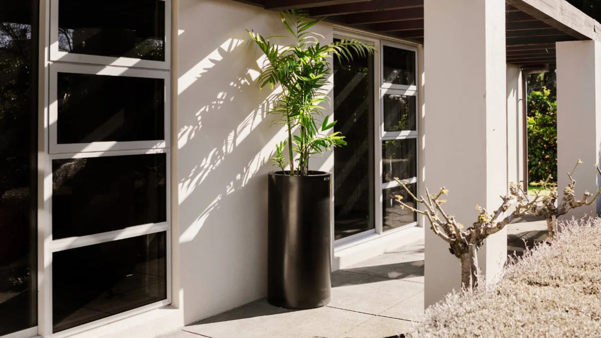 CYLINDRUS 10050 PLANTER