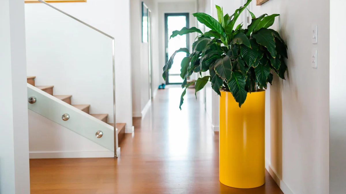 CYLINDRUS 8040 PLANTER