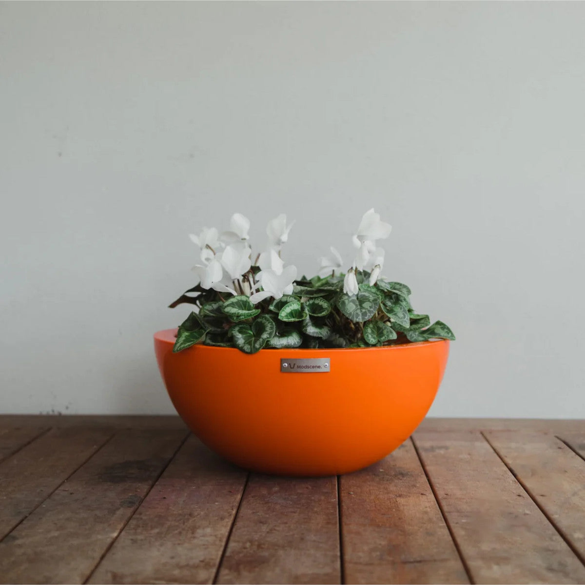 BARCELONA 500 BOWL PLANTER