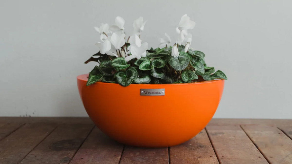 BARCELONA 500 BOWL PLANTER