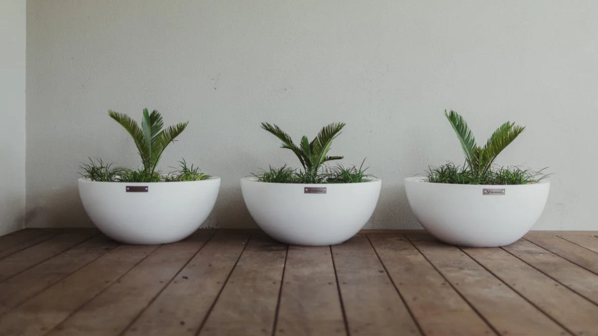 BARCELONA 500 BOWL PLANTER