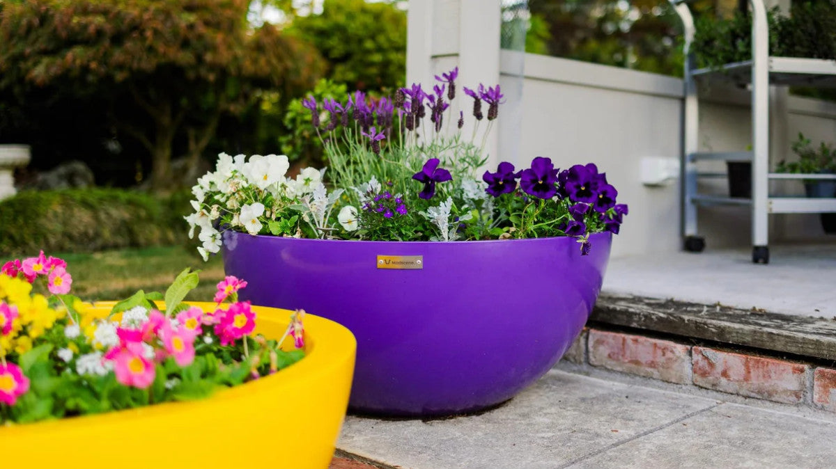 BARCELONA 750 BOWL PLANTER