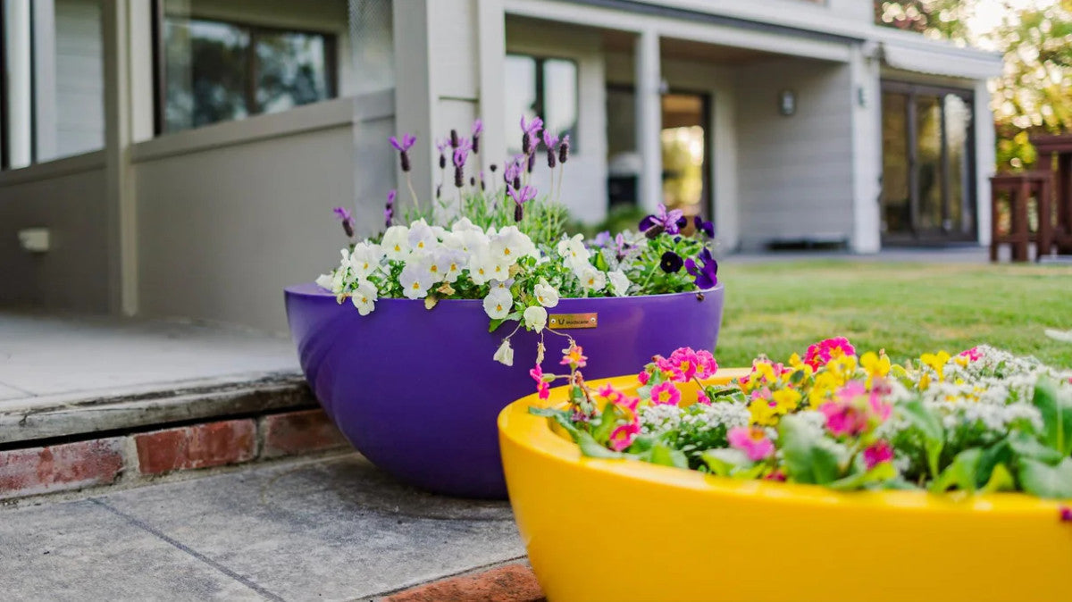 BARCELONA 750 BOWL PLANTER
