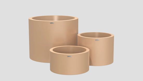 Cylindrus Cluster Tan