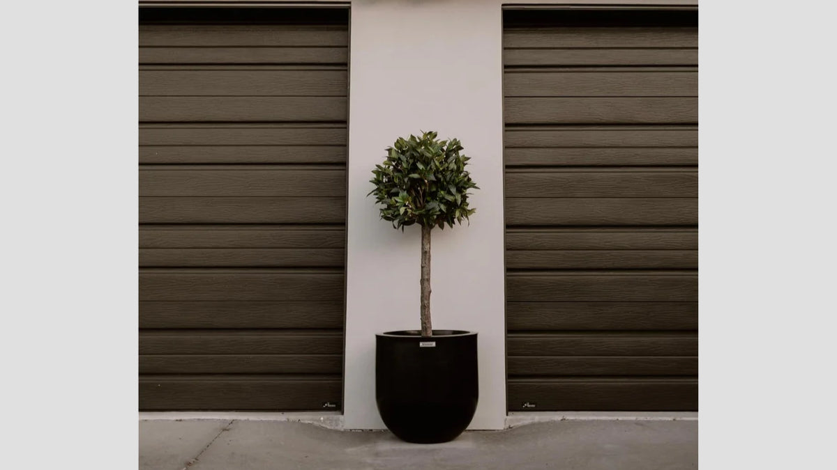 LISBON 500 PLANTER
