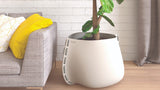 Outdoor Furniture NZ - Blinde Design Stitch 75 Plant Pot Bone Installed